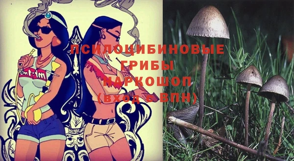 крисы Вяземский