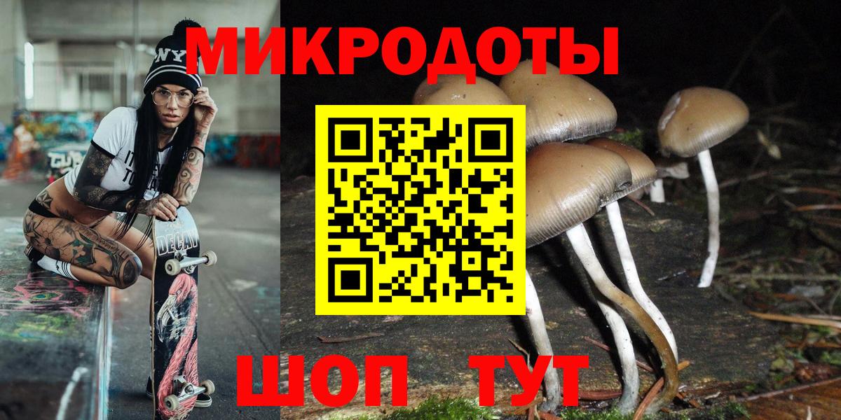 Галлюциногенные грибы Psilocybine cubensis Волоколамск