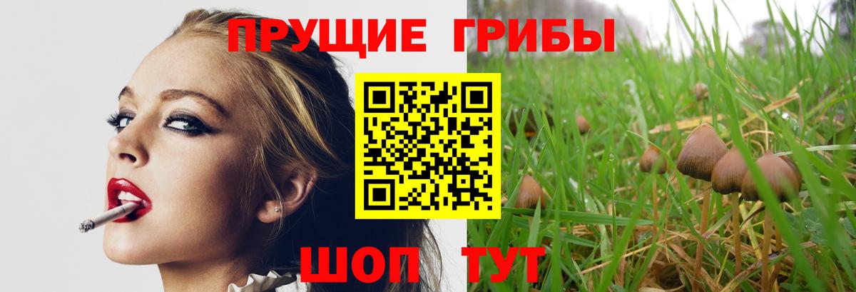 Галлюциногенные грибы Magic Shrooms  Вход с VPN  Волоколамск 