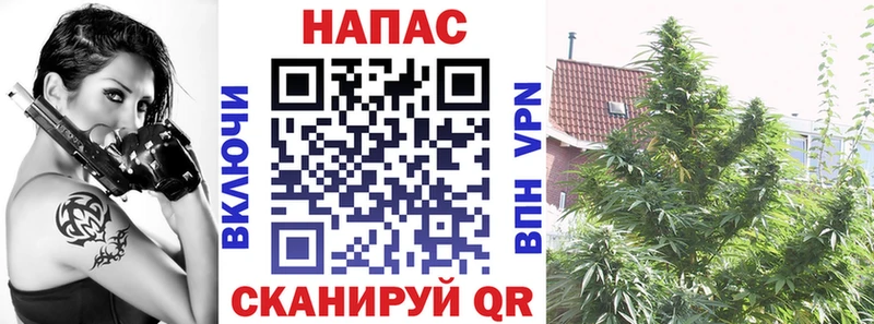 Марихуана ГИДРОПОН  продажа наркотиков  Волоколамск 